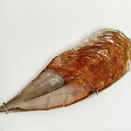 Cabarnus House 펜션