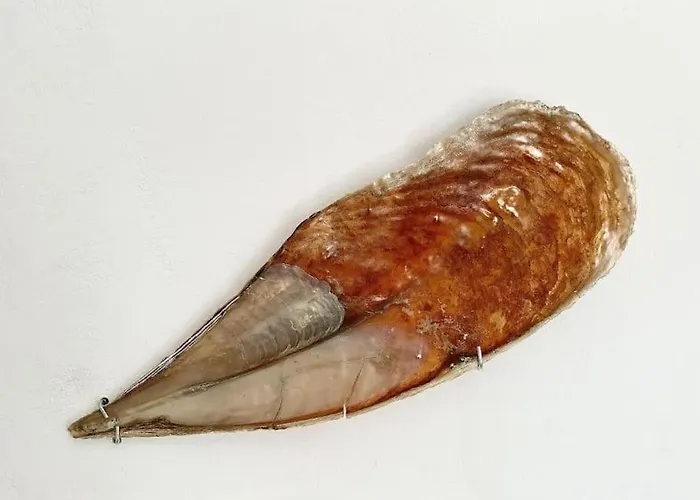 Cabarnus House Holiday home